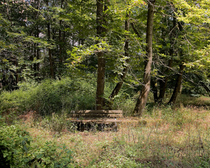Fiuggi, Park