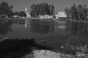 A view towards a temple | Dhesian Sang, Punjab.