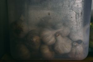 Mountain kitchen