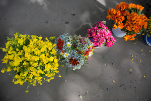 Flowers guiding the way