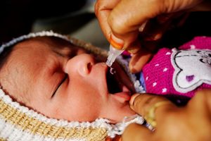 A child is vaccinated in Moradabad, Uttar Pradesh