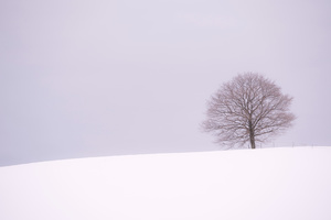 Winter Horizon in the Vicinity -07