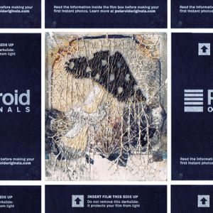 N°108 : It’s No longer Polaroid but toadstool