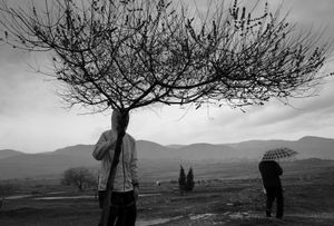 Treeman