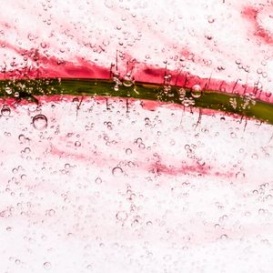 State of matter
