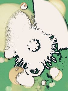 Metamorphosis 80
