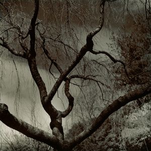 Emergence, Brooklyn, NY, 2009                 © Kimberly Schneider