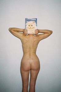 Wonderfull world of cats