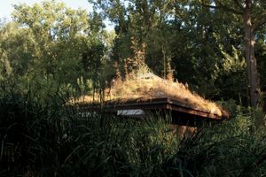 Planckendael, Mechelen, Belgium  2012 © Mireille Schellhorn