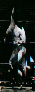 Muybridge Motion Study Motion Studies #7