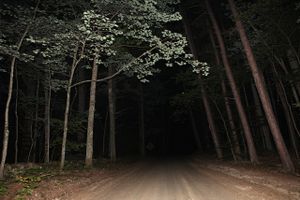 Tamworth, N.H. © Matt Nighswander
