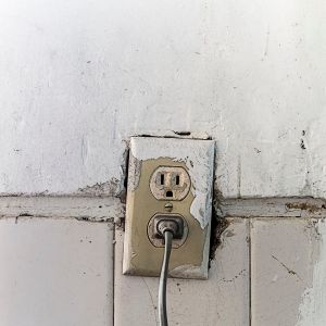 suddenly connected. /Attaccamento improvviso.