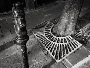 Horse Hitch and Grate, New Orleans, LA, 7 8 22