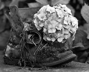 Old Boot