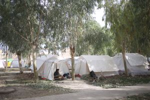 Settling people in park