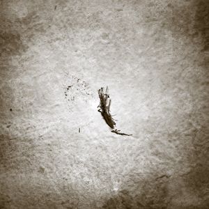 LUDLQ_05