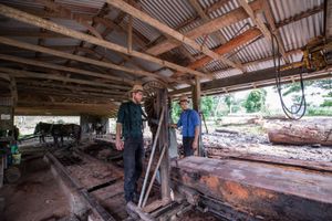 Horse powered sawmill