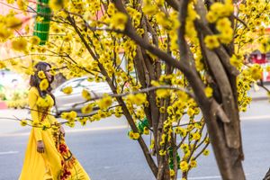 Vietnamese New Year - Hanoi