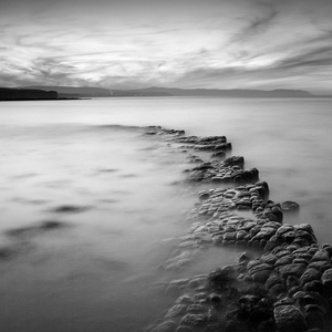 Kilve Pavements VI