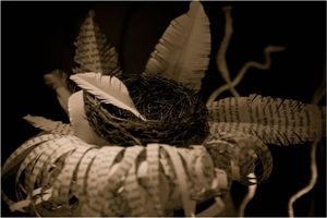 Nest Egg © Amber Hall