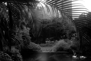 "Kowloon Park Hong Kong"