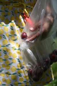 Fragments - E - Cherries in June