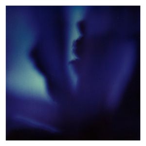 Twilight | Secret Life of Plants XXII