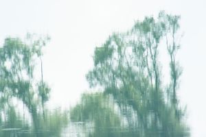 Sounds of silence/Cold tree   トータルのタイトルはSounds of silenceです。これらの写真は水に映った風景です。つまり、水鏡の写真を逆転して提示したものです。私はこれらのシリーズ写真を撮影する上で、光と影そして、水に映る瞬間と水の流れによるものをカメラという機械装置でその時間（シャッタースピード）で描く絵を表現しています。つまり、私は、自然風景を、自然の川や湖などの水を見てその光と影で絵を描いていると言いたいのです。それは、写真的であり、また、photoであると言いたいのです。
