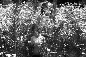 Summer