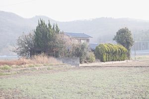 伝統と文化　Tradition and culture