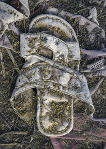 Forgotten Footsteps