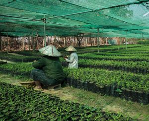 burmese workers