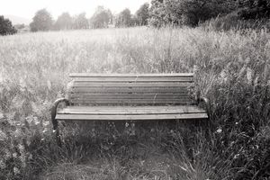 Absence