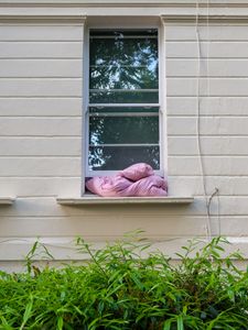 Duvet