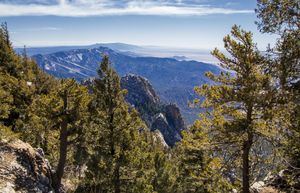 Majestic
