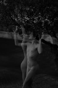 Fluidity  - Fluidità