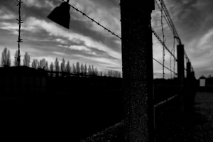 Perimeter Fence, Dachau, Germany