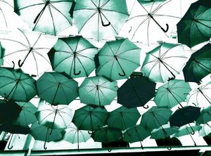 Umbrella Sky Project 4