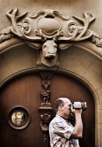 Stag and Tourist    © Seán Duggan