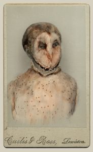 Aviary