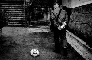 Old Man and Cat