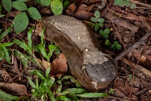Footprints Nº14