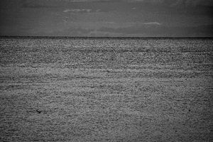 Ships. Photo 10