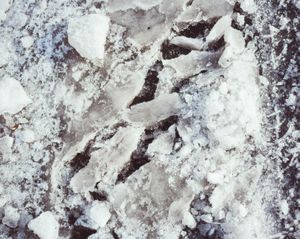 Icelandic Surfaces #11