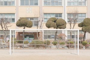 Sixth School Day (III)