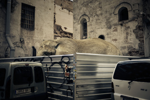 Jordi, learn to fly please!