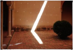 The Light.