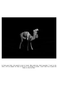 Camel