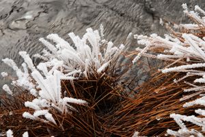 Frost on Greens