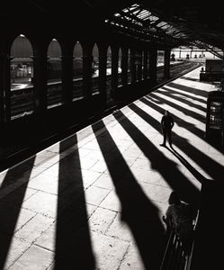 Long Shadows